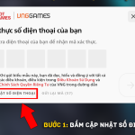 Hướng Dẫn Xác Thực Số Điện Thoại Riot Games (VNG)